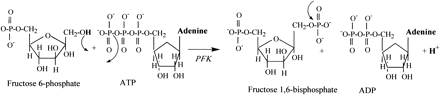 Fig 07