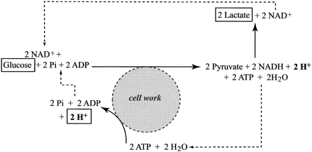 Fig 11