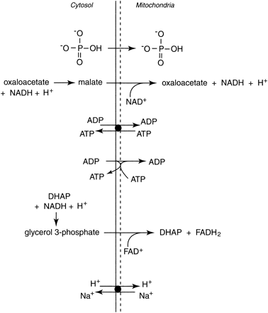 Fig 13