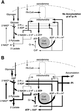 Fig 14