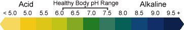 Fig 1 - pH range char