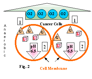 Fig. 2...Forming the Cancer Cell * - MOSA - Medical Oxygen Society of the Americas