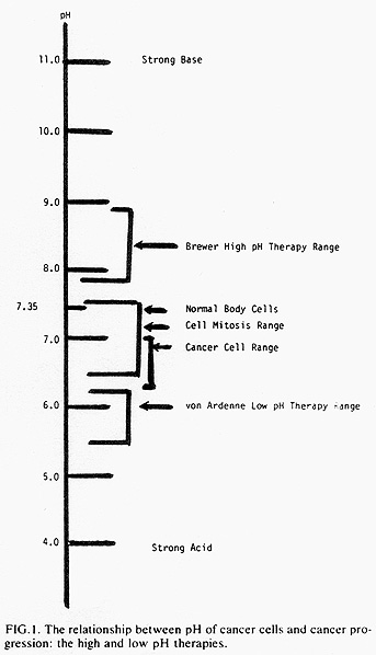 The Brewer Report - Optimal pH Levels