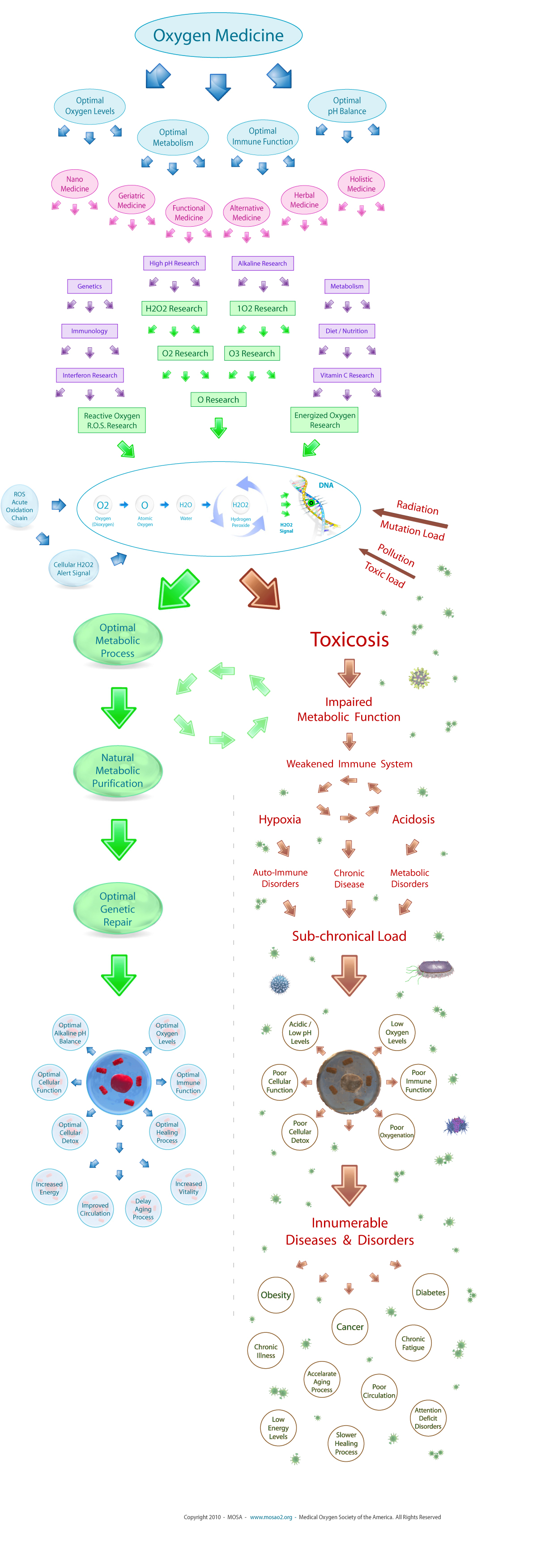 Oxygen Medicine - Diagram X - MOSA - Medical Oxygen Society of the Americas - www.mosao2.org