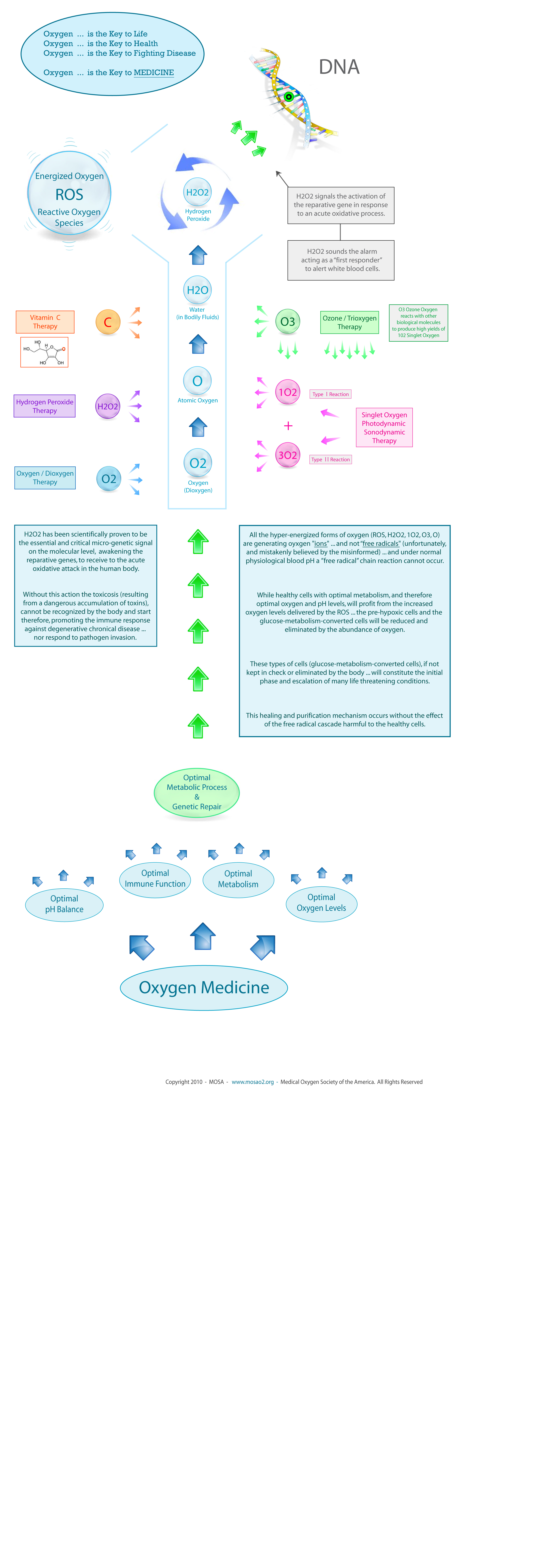 Oxygen Medicine - Diagram X - MOSA - Medical Oxygen Society of the Americas - www.mosao2.org