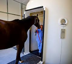 HBOT - Hyperbaric Oxygen Therapy - Veterinary - Horses  - MOSA - Medical Oxygen Society of the Americas - www.mosao2.org