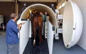 HBOT - Hyperbaric Oxygen Therapy - Veterinary - Horses  - MOSA - Medical Oxygen Society of the Americas - www.mosao2.org