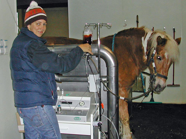 O3 Ozone Oxygen Therapy - Veterinary - Horses  - MOSA - Medical Oxygen Society of the Americas - www.mosao2.org